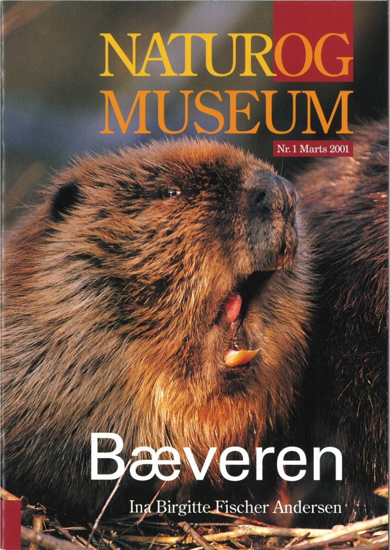 Bæveren